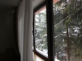 ANDL4849.JPG